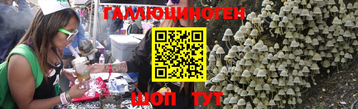 Галлюциногенные грибы Cubensis  Галлюциногенные грибы MAGIC MUSHROOMS  Екатеринбург  купить  цена  Вход с VPN 