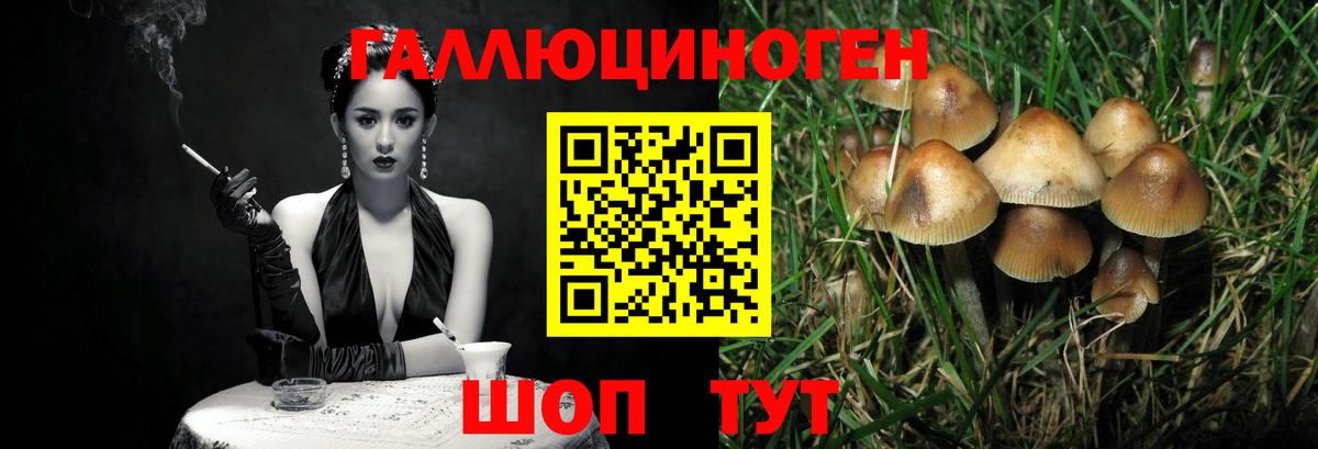 Галлюциногенные грибы Psilocybine cubensis Екатеринбург